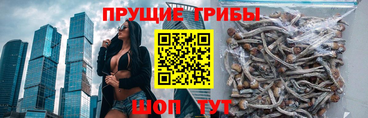 Псилоцибиновые грибы ЛСД Амурск