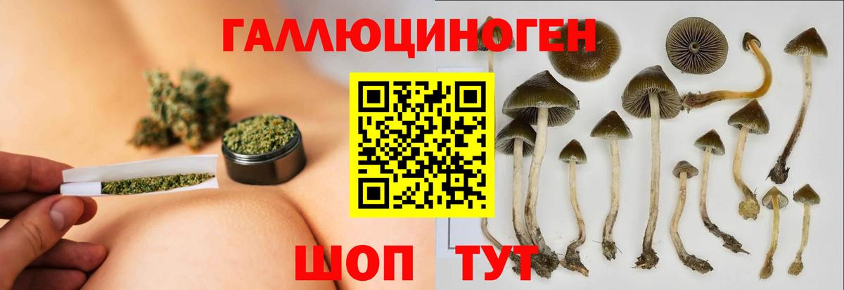Галлюциногенные грибы мухоморы  Вход с VPN  Амурск 